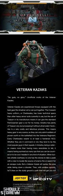 JoyToy & Infinity 1/18 Ariadna Veteran Kazaks -model store 06ecbd7bb9