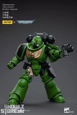 JoyToy Source 1/18 Warhammer 40K Salamanders Intercessors Brother Haecule 15 JoyToy Source 1/18 Warhammer 40K Salamanders Intercessors Brother Haecule -model store 0f74c419e8