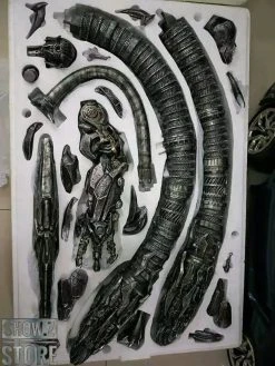 HEAT Studio 1/6 Custom Made Shockwave Statue -model store 43f86241dc