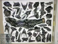 HEAT Studio 1/6 Custom Made Shockwave Statue -model store 4a8d2dc44f