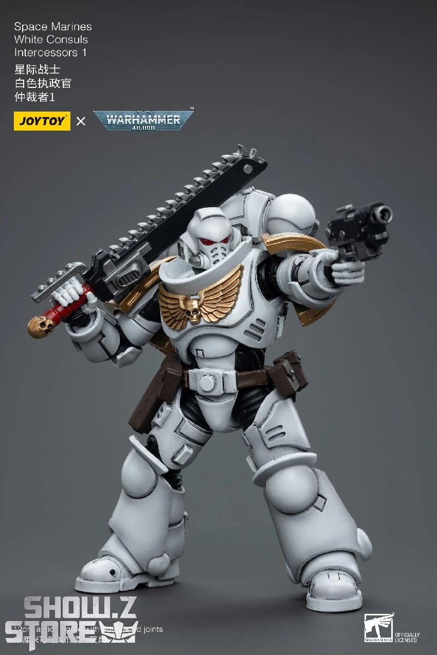 JoyToy Source 1/18 Warhammer 40K Space Marines White Consuls Intercessors 1 11 JoyToy Source 1/18 Warhammer 40K Space Marines White Consuls Intercessors 1 - Image 9