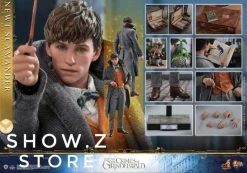 [Pre-Order] Hot Toys HT 1/6 Newt Scamander MMS512 Fantastic Beasts: The Crimes Of Grindelwald -model store c095dafc42