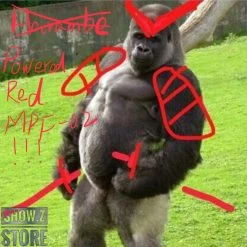 Daban DB Powered Red & 150 Gerbera Straight Upgrade Kit For 1/100 MG MBF-P02 MBFP02 Gundam Astray Red Frame -model store e20f105c6e